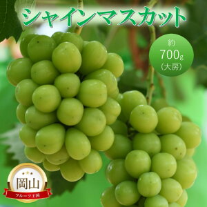 yӂ邳Ɣ[ŁzsY VC}XJbg [ (700g) Ԃǂ uhE  ʕ t[c@͂F2025N1120`2025N1225