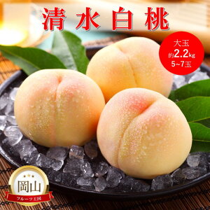 �y�ӂ邳�Ɣ[�Łz2026�N ������t ���R���Y �������� ��� (��2.2kg) 5�`7�� �� ���� ���� �ʕ� �t���[�c�@���͂��F2026�N7�����{�`2026�N8����{