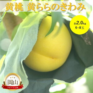 �y�ӂ邳�Ɣ[�Łz2026�N ������t ���R���Y ���� �����̂���� (��2.0kg) 6�`8�� �� ���� �ʕ� �t���[�c�@���͂��F2026�N9����{�`2026�N9�����{