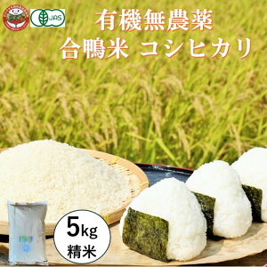 yӂ邳Ɣ[ŁzܗL@_͔|F  RVqJ5kg L@͔| I[KjbN _Ew엿sgp  sY _@ uh cc  ӂ Â 