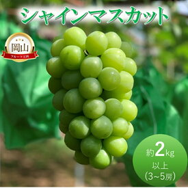 【ふるさと納税】2026年 早期受付 ぶどう シャインマスカット約2kg（3～5房） 岡山県高梁市産 岩原農園 葡萄 ブドウ　お届け：2026年9月上旬～2026年10月上旬
