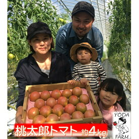 【ふるさと納税】桃太郎トマト 約4kg 野菜 トマト とまと 岡山県 高梁市産 産地直送　お届け：2025年8月上旬～2025年10月下旬