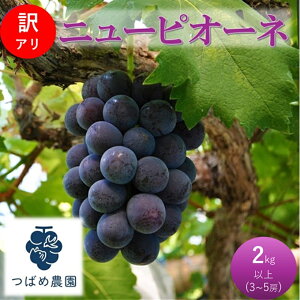 yӂ邳Ɣ[Łz2026N t Ԃǂ 󂠂 j[sI[l 2kgȏ(3`5[) ʌ R sY@͂F2026N8{`2026N9{