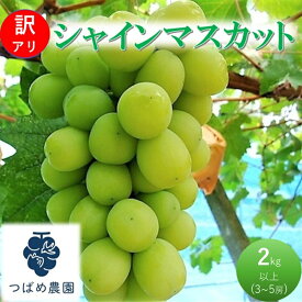【ふるさと納税】2026年 早期受付 ぶどう 訳あり シャインマスカット 2kg以上(3～5房) 数量限定 岡山県 高梁市産　お届け：2026年9月初旬～2026年10月中旬