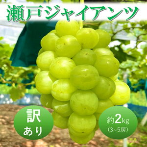 yӂ邳Ɣ[Łz2026N t Ԃǂ ˃WCAc 3`5[ 2kg RsY ߂ÂԂǂ ϔ  uhE 󂠂@͂F2026N9{`2026N10{