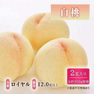 yӂ邳Ɣ[Łz 2026N s\  : C x12.0xȏ 2ʓ v500gO   RY Y t[c ʕ Mtg@͂F2026N7{`2026N8{