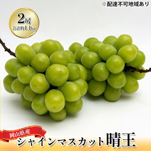 �y�ӂ邳�Ɣ[�Łz�Ԃǂ� 2026�N ��s�\�� �V���C�� �}�X�J�b�g ���� 2�[ �i���v��1.1kg�j ���ϔ����� �}�X�J�b�g �u�h�E ���� ���R���Y ���Y �t���[�c �ʕ� �M�t�g�@���͂��F2026�N8�����{�`2026