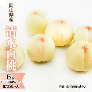 �y�ӂ邳�Ɣ[�Łz�� 2026�N ��s�\�� ���� ���� 6�� �i1��250g�ȏ�j���ϔ����� ���� ���� ���R���Y ���Y �t���[�c �ʕ� �M�t�g �ō��� �����i ���蕨�@���͂��F2026�N7�����{�`2026�N8����{