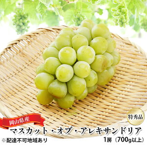 �y�ӂ邳�Ɣ[�Łz�Ԃǂ� 2026�N ��s�\�� �}�X�J�b�g�E�I�u�E�A���L�T���h���A ���G�i 1�[�i1�[700g�ȏ�j���ϔ����� ���� ���R���Y ���Y �t���[�c �ʕ� �M�t�g �ʎ� ��i �����@���͂��F2026�N