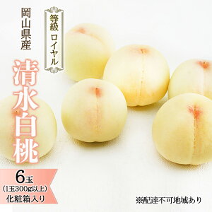 �y�ӂ邳�Ɣ[�Łz�� 2026�N ��s�\�� ���� ���� 6�� �i1��300g�ȏ�j �����F���C���� ���ϔ����� ���� ���� ���R���Y ���Y �t���[�c �ʕ� �M�t�g �����i ���x12.0�x�ȏ�@���͂��F2026�N7�����{�`2