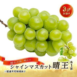 �y�ӂ邳�Ɣ[�Łz�Ԃǂ� 2026�N ��s�\�� 3�񂨓͂��I ����̍� ���R�� �V���C�� �}�X�J�b�g ���� ×3��I(�e1�[) ���� ���R���Y ���Y �t���[�c �ʕ� �M�t�g �H�� �����Ԃǂ� �嗱 ��Ȃ� �Â݂�