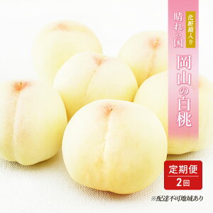 �y�ӂ邳�Ɣ[�Łz�� ����� 2026�N ��s�\�� ����̍� ���R �� ���� ×2�� ���͂� 1��� ���� 6�ʁi1��250g�ȏ�j�^2��� ���� 6�ʁi1��300g�ȏ�j ���ϔ����� ���� ���� ���R�Y ���Y �t���[�c �ʕ� 