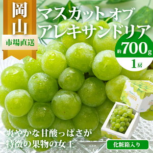 �y�ӂ邳�Ɣ[�Łz�Ԃǂ� 2026�N ��s�\�� �}�X�J�b�g�E�I�u�E�A���L�T���h���A 1�[ 700g�ȏ� ���ϔ����� �}�X�J�b�g ���R���Y ���Y �t���[�c �ʕ� �M�t�g �H�� �f�U�[�g ��i�ȍ��� �ʕ��̏���