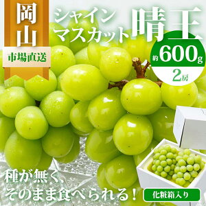 �y�ӂ邳�Ɣ[�Łz�Ԃǂ� 2026�N ��s�\�� �V���C�� �}�X�J�b�g ���� 2�[ �i1�[ 600g�ȏ�j ���ϔ����� �}�X�J�b�g �u�h�E ���� ���R���Y ���Y �t���[�c �ʕ� �M�t�g �����Ԃǂ� �嗱 ��Ȃ� ����