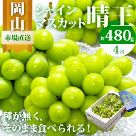 【ふるさと納税】ぶどう 2026年 先行予約 シャイン マスカット 晴王 4房（1房480g以上）約2kg マスカット 岡山県産 国産 フルーツ 果物 ギフト 上品な香り 高級ぶどう 高級シャインマスカット 大粒 種なし 皮ごと　お届け：2026年8月下旬～2026年10月中旬