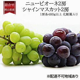 【ふるさと納税】ぶどう 2026年 先行予約 詰合/ニューピオーネ2房(1房480g以上)・シャインマスカット晴王2房(1房480g以上)　化粧箱入り ブドウ 葡萄 岡山県産 国産 フルーツ 果物 ギフト　お届け：2026年9月上旬～2026年10月中旬