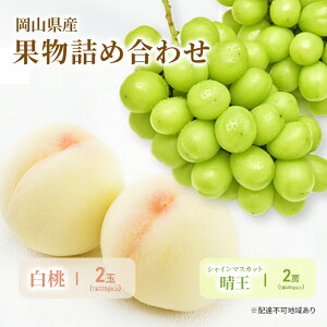 �y�ӂ邳�Ɣ[�Łz���� �Ԃǂ� 2026�N ��s�\�� �l��/���� 2��(1��220g�ȏ�)�E�V���C���}�X�J�b�g ���� 2�[(1�[480g�ȏ�) ���ϔ����� ���R���Y ���Y �t���[�c �ʕ� �M�t�g�@���͂��F2026�N7�����{�`2