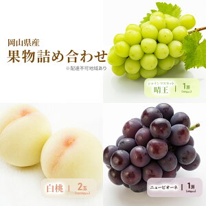 �y�ӂ邳�Ɣ[�Łz���� �Ԃǂ� 2026�N ��s�\�� �l��/���� 2��(1��220g�ȏ�)�E�j���[�s�I�[�l1�[(480g�ȏ�)�E�V���C���}�X�J�b�g ���� 1�[(480g�ȏ�) ���ϔ����� ���R���Y ���Y �t���[�c �ʕ� �M�t�g