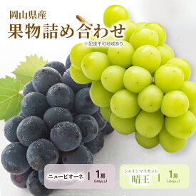 【ふるさと納税】ぶどう 2026年 先行予約 詰合/ニューピオーネ 1房(480g以上)・シャインマスカット 晴王 1房(480g以上) 化粧箱入り ブドウ 葡萄 岡山県産 国産 フルーツ 果物 ギフト　お届け：2026年8月下旬～2026年10月上旬