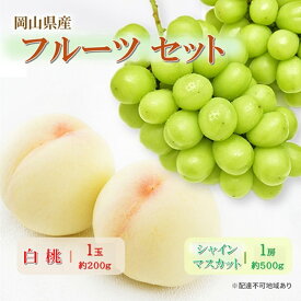 【ふるさと納税】岡山県産 フルーツセット(シャインマスカット1房・白桃1玉) 果物 フルーツ 詰め合わせ ぶどう ブドウ 葡萄 シャインマスカット 桃 白桃 国産　お届け：2026年7月下旬～2026年8月下旬