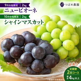【ふるさと納税】2026年 ぶどう 訳あり よくばり定期便 9月と10月の2回コース 総計 4kg 【1回目ニューピオーネ 2kg 9月中旬発送】 【2回目シャインマスカット 2kg 10月中旬発送】 岡山県高梁市産 9月10月各月発送 数量限定　お届け：2026年9月中旬～2026年10月中旬