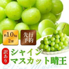 【ふるさと納税】訳あり シャインマスカット 晴王 2房 合計1.0kg以上 ぶどう 葡萄 シャイン マスカット 岡山 岡山県産 桃太郎御一行 2026年 先行予約　お届け：2026年8月25日～2026年10月31日