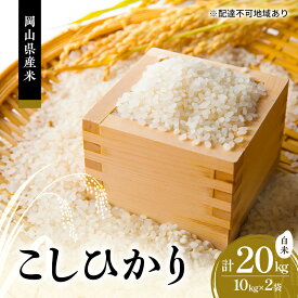 【ふるさと納税】2026年度 先行受付 新米 岡山県産米 白米 こしひかり 20kg(10kg×2袋) お米 コメ 国産 岡山　お届け：9月中旬から順次出荷