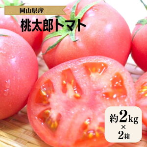 yӂ邳Ɣ[ŁzYg}g 2kg 2 匴όʎ ys\z  Ă̖   lC v[g Mtg 蕨 Yn RY T_ n ~lXg[l ␻p