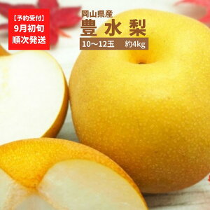yӂ邳Ɣ[Łzs\  L Ȃ ʕ t[c H̖o fU[g 4kg 10`12 a  lC  񂹃O  Mtg 蕨 v[g  p Yn