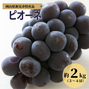 yӂ邳Ɣ[Łzs\ Iׂ sI[l j[sI[l 1.2L 1.2kg 2L 2kg 2[ 3[ 4[ Ȃ  lC  Â v[g  Mtg 蕨  p  