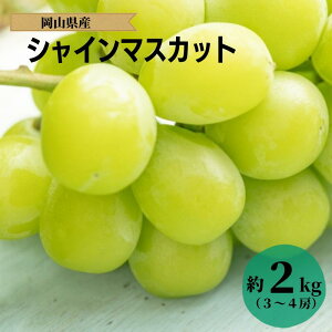 yӂ邳Ɣ[Łz s\ VC}XJbg }XJbg 1.2kg 2[ 2kg 3[ 4[ Ԃǂ 햳  lC  Â 傫 v[g  Mtg 蕨  p Ă̑