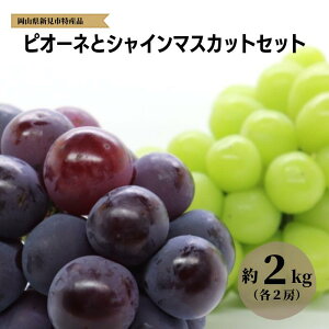 yӂ邳Ɣ[Łzs\ sI[l VC}XJbg Zbg   1.2kg 2[ /  2kg 4[  Iׂ e j[sI[l 햳 Hה  lC  Â v[g 