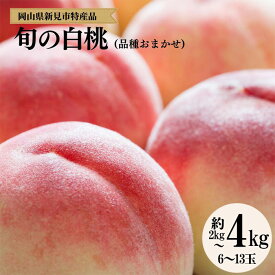 【ふるさと納税】先行予約 白桃 桃 ＜ 約 2kg 6玉 / 約 3kg 8玉 / 約 4kg 12~13玉 ＞ もも モモ 岡山 産地 収穫時期 旬の時期 人気 ギフト 贈り物 贈答品 贈答 プレゼント お中元 暑中見舞い 特産品 果物 フルーツ