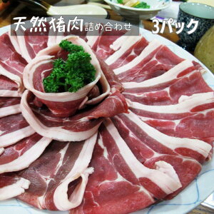 yӂ邳Ɣ[Łz ʂIׂ VYVR ɏlߍ킹 XCX 300g×3 y12{`8{z