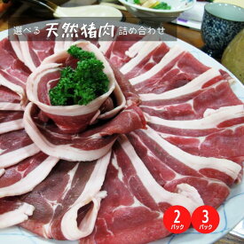 【ふるさと納税】 量を選べる 新見産天然猪肉 極上詰め合わせ スライス肉 約300g×3 【12月上旬～8月下旬頃発送】