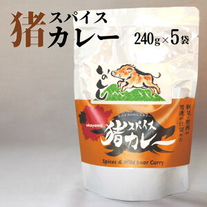 yӂ邳Ɣ[Łz CmVV WrG  CmVVJ[ gg 240g 5 Zbg lC  v[g Mtg 蕨  i p Hi VR 쐶  т̂ 