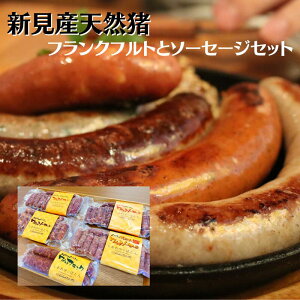 yӂ邳Ɣ[Łz CmVV WrG  O VR Y tNtg \[Z[W Zbg lߍ킹 Zbg  ڂ 160g 5pbN Ⓚ ۑ tNtg ܂ BBQ Mt