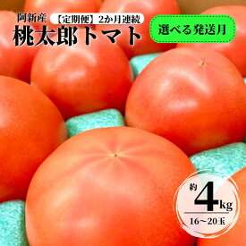 【ふるさと納税】定期便：2ヶ月連続 阿新産桃太郎トマト 1箱 約4kg 16〜20玉