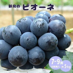 �y�ӂ邳�Ɣ[�Łz�y��s�\��z �s�I�[�l �� ��1.6kg 4�[ / �� 2.4kg 4�[ / �� 5kg 7�`9�[ �� �j���[�s�I�[�l �Ԃǂ� ��Ȃ� �햳�� �������� �l�C �v���[���g �M�t�g ���� �����p �Â� �傫�� �嗱 ��