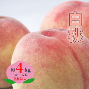 �y�ӂ邳�Ɣ[�Łz��s�\�� ���� �� ���� 1.5kg 6�� 4kg 14�`15�� �Y�n���� �_�ƒ��� ���R���Y �������� �l�C ���Y �M�t�g �v���[���g ���� �����p ���蕨 ���J�� ��y�Y ������ �P�[�L �W���� �X��