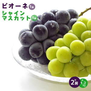 yӂ邳Ɣ[Łzs\ sI[l j[sI[l VC}XJbg Zbg 1.2kg 2[ 햳 Hה  lC  Â v[g  Mtg 蕨  p Ă