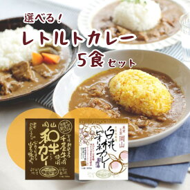 【ふるさと納税】レトルト カレー 和牛カレー レトルトカレー ビーフカレー 5食 セット 千屋牛 和牛 おすすめ 美味しい 人気 レトルト食品 レトルトパウチ A級食材 特産品 キャンプ アウトドア 一人暮らし 常温 贅沢 簡単 手軽 ギフト プレゼント お土産 贈り物