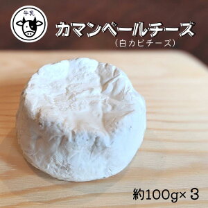 yӂ邳Ɣ[Łzy11`3EzJ}x[`[Y 100g×3pbN