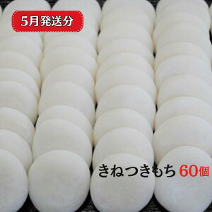 yӂ邳Ɣ[Łz   ˂ n  ۖ qm` 60 6×10pbN  Iׂ