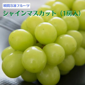 【ふるさと納税】ぶどう シャインマスカット 冷凍 1房