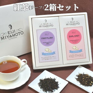 yӂ邳Ɣ[Łzg 2 t@[Xg A[OC Zbg [t [teB[ t   lC ݔ v[g Mtg 蕨  ̂Ή TEA t[o[eB[ AC