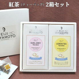 【ふるさと納税】紅茶 ティーバック 2箱 セット アールグレイ レモンティー 美味しい おすすめ 人気 飲み比べ プレゼント ギフト 贈り物 贈答 のし対応 フレーバーティー アイスティー ホットティー アフタヌーンティー おうちカフェ ティータイム 紅茶農園 お茶 ご褒美