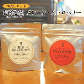 【ふるさと納税】お試しセット 紅茶 ティーバッグ 5p×2袋 プレーン ストロベリー お試し 試飲 少量 少量パック 美味しい おすすめ 人気 プレゼント フレーバーティー アイスティー ホットティー アフタヌーンティー おうちカフェ お茶 高級 専門店 岡山県産 紅茶農園