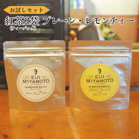 【ふるさと納税】お試しセット 紅茶 ティーバッグ 5p×2袋 プレーン レモン お試し 試飲 少量 少量パック 美味しい おすすめ 人気 フレーバーティー アイスティー ホットティー おうちカフェ お茶 高級 専門店 岡山県産 紅茶農園 プレゼント 専門店 岡山県産 紅茶農園