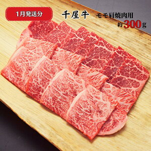 【ふるさと納税】発送月が選べる おすすめ 牛肉 焼肉 千屋牛 和牛 黒毛和牛 国産 A5 A級食材 ブランド牛 モモ肩 300g A5